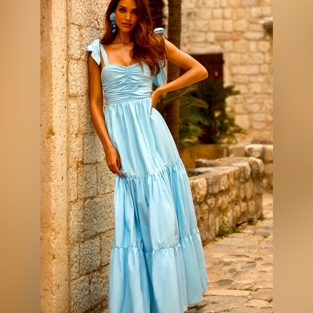 Alamour the Label gown new never used